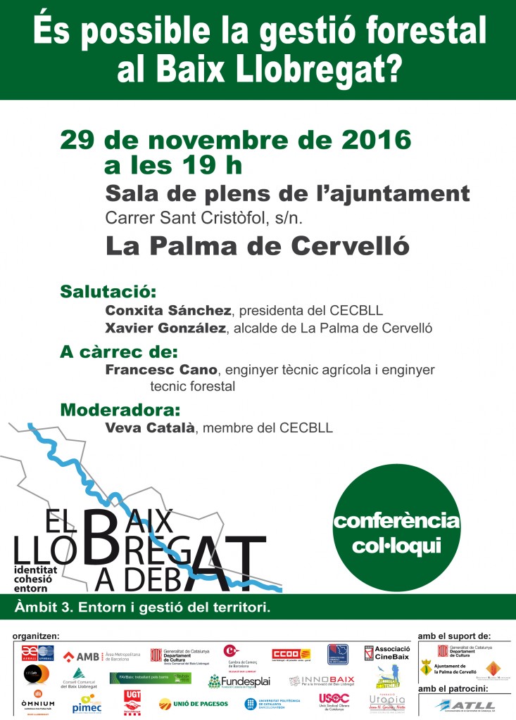 LA PALMA DE CERVELLO